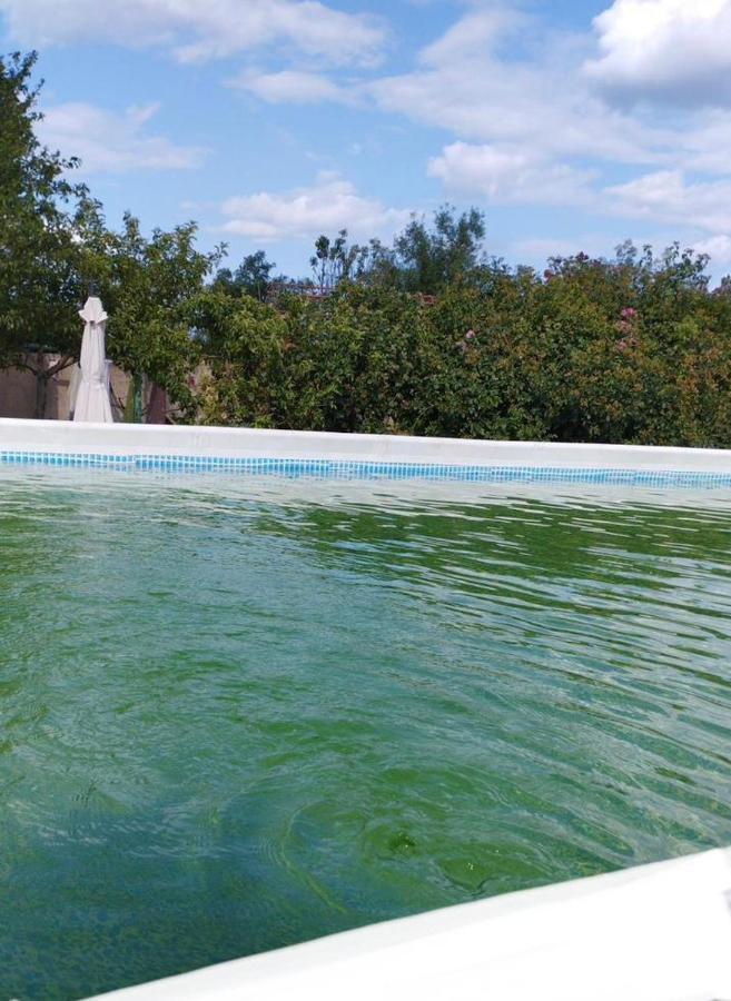 Hotel Baza Otdyha Primor'E Primorskoje Exterior foto